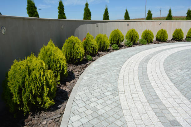 Best Brick Driveway Pavers  in Payson, AZ